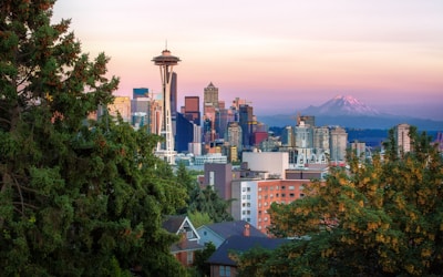 Seattle residential rooftops under an overcast sky